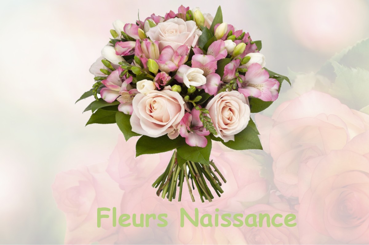 fleurs naissance TERREBASSE