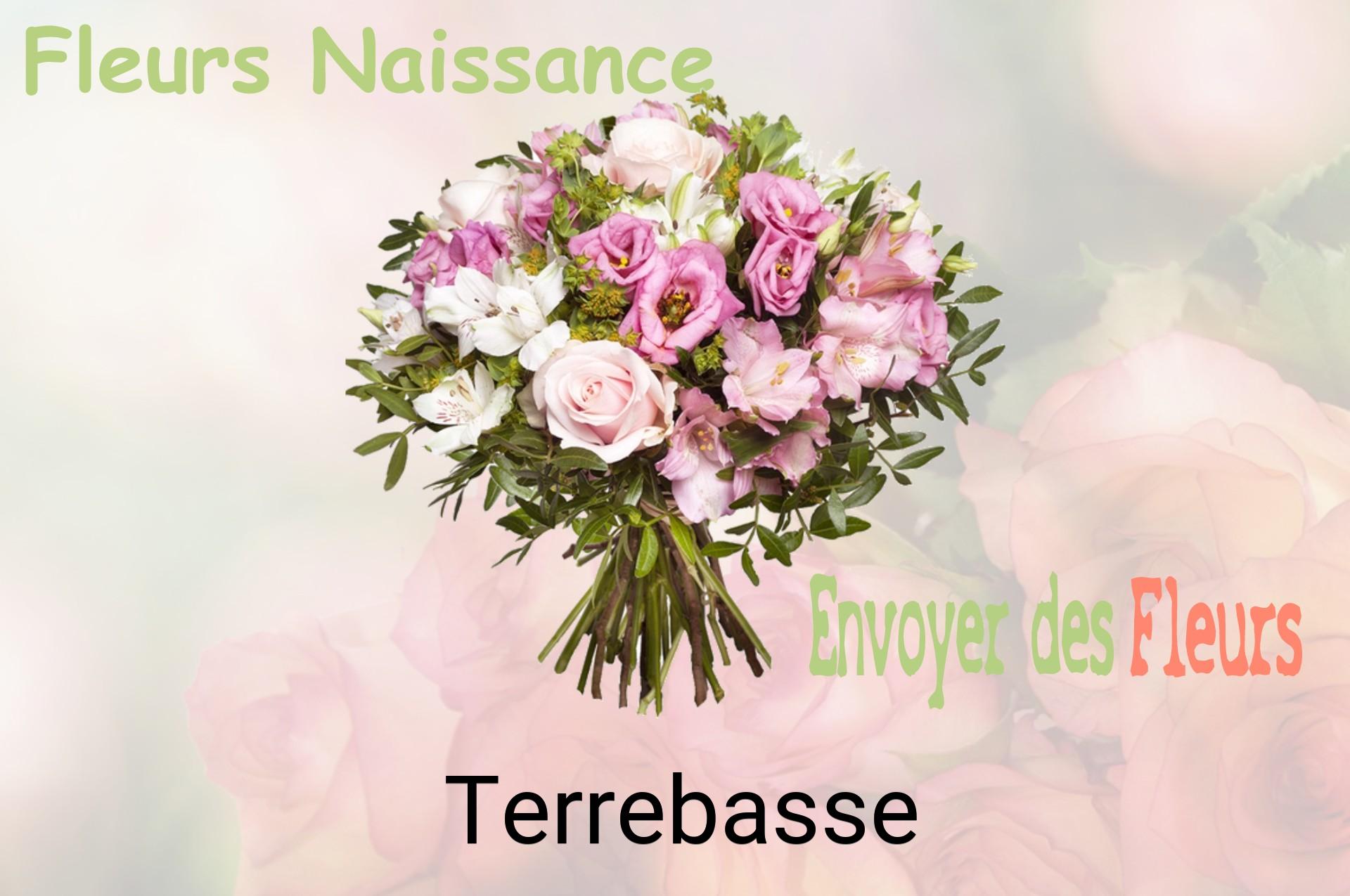 Bouquet de fleurs de naissance livré à Terrebasse