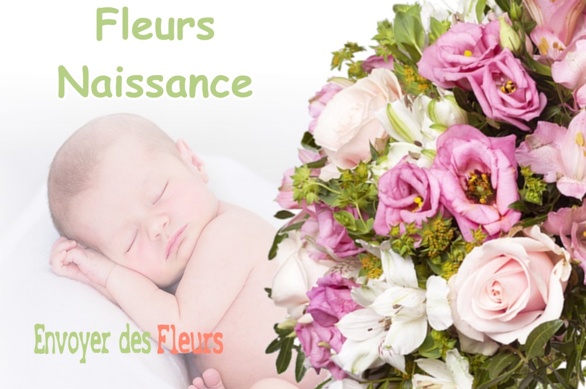 lIVRAISON FLEURS NAISSANCE à TERREBASSE